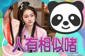 娱乐吃瓜小阿酱是谁呀小说,揭秘网络小说中的神秘女主角