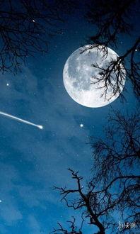 月亮吃瓜娱乐说